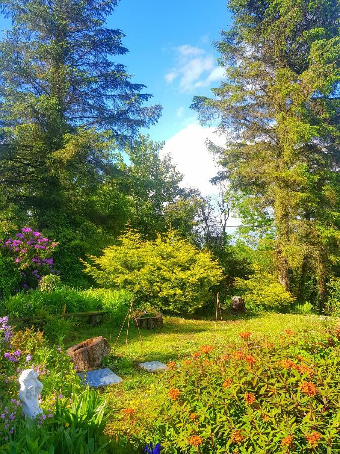 Gasthaus Leenan View Country House Portsalon Exterior foto